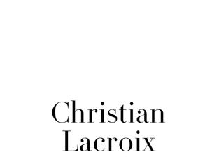 Christian Lacroix Skirt NEW