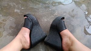 Black Wedges