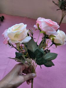 Light Pink Roses