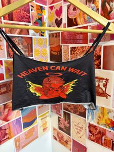 Devil Angel Cropped Top