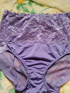 Lace High Waist Briefs