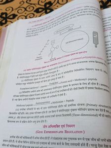 Navbodh Jiv Vigyan (Biology) Text Book Class 12th