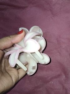 Flower Hair Clips (Set of 2)