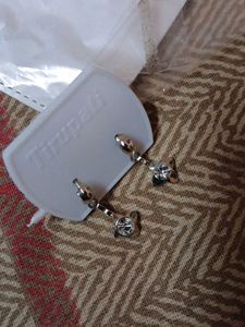 Dangling Silver Earrings