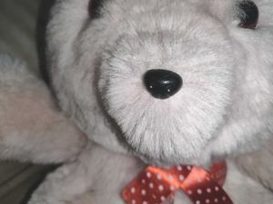 Teddy Bear Medium Size
