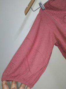 Embroidered Very Light Pink/brown Top