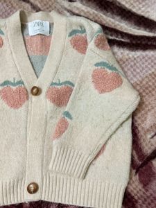 Zara Pinteresty Cardigan
