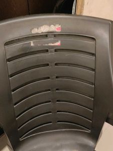 3-Neelkamal Chair(chair for sale, not the cat)