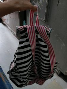 Backpack Beautiful Colour Combination