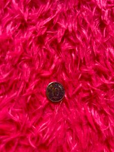 old 10 paise coin