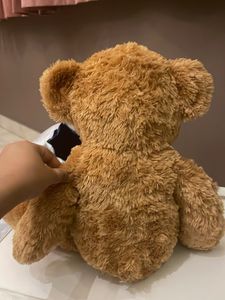 Combo Of Teddy Bear 🧸