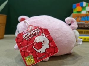 Molang Piggy Hoodie Rabbit Mini Plush Toy Keyring