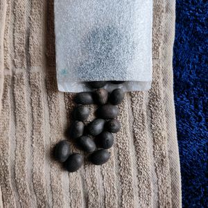 Original Kamal Gatta Lotus Seeds 21 Pcs Lakshmi P