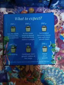 Eco Kit Set