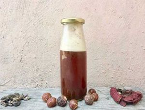 Combo Of Handmade Soap And Shampoo