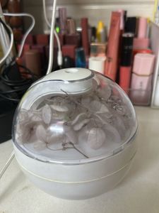Floral Diffuser with Dried Flowers