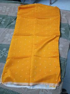 Elegant Ethnic Saree