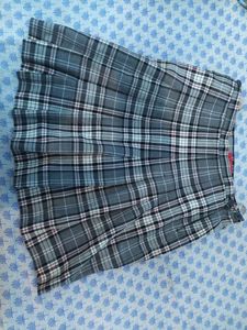 A Party Wear Skirt