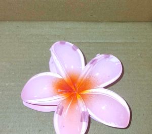 2Flower Hair Clips(1 free gift🎁 )