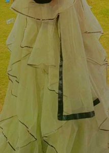 Elegant Ethnic Gown