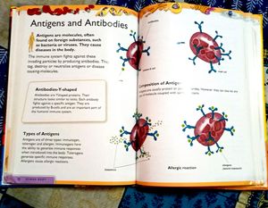 Encyclopedia Of Human Body (Rare To Find)