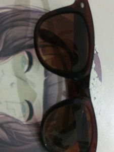 Stylish Brown Sunglasses