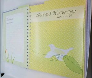 My Pregnancy General