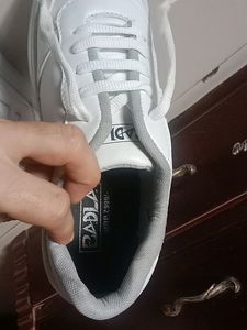 Brand New White Casual Sneakers