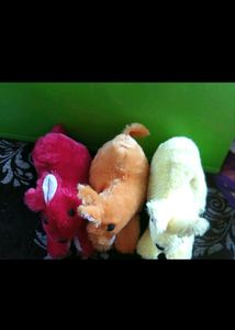 TRed Brown And Yellow Colour Soft Teddy Bear