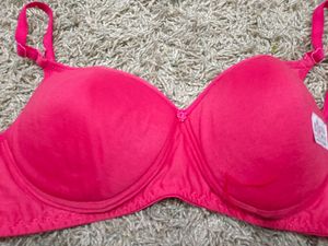 Padded Bra