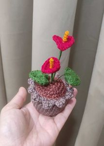 Crochet Anthurium Plant