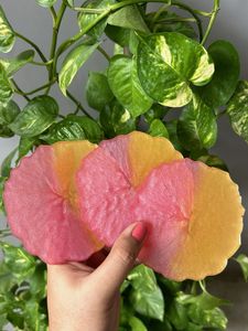 Resin Coasters ( Pack Of Three)