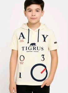 Cool Hoody Style Tshirt
