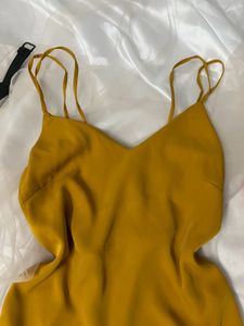 Backless Bodycon Dress