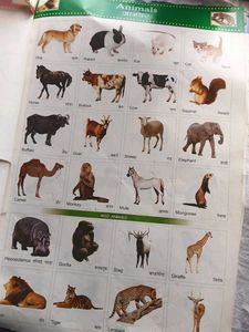 School Projects Informative Cutouts Book