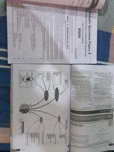 CBSE Class 10 Exam Prep Books
