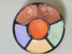 Insight Pro Concealer Palette