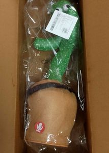 Cactus Talking Toy