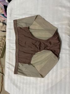Danskin Beige Briefs 30-32