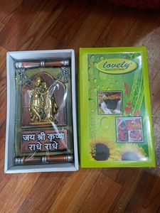 Radha Krishna Beautiful Frame