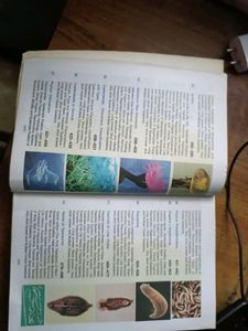 Invertebrate Zoology By EL JORDAN AND PS VERMA