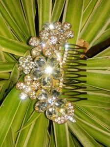Hair Queen Clip