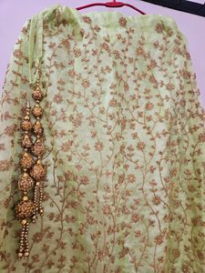 Pista Color Lehnga Choli
