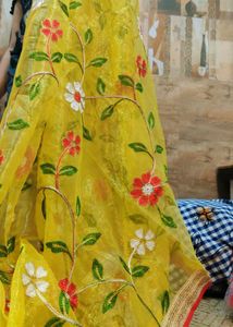 Brand New Organza Saree 10 Years