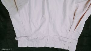 Bitterlime Stylish Palazzo