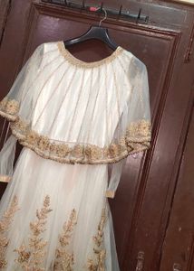 Elegant Ethnic Gown