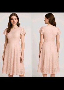 Elegant Lace Fit & Flare Dress