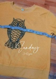 Sweatshirt