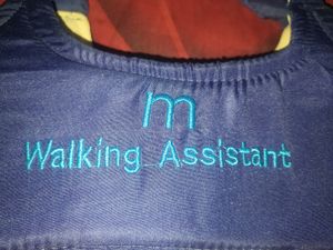 Baby Walker Support