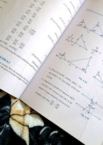 Class 10 Mathematics Textbook